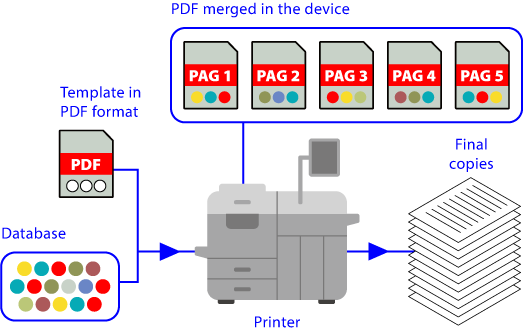 PDF/VCR.